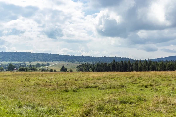 Karpatlar 'da bir dağ çayırı. Vadileri ve çimenli tepeleri olan yaz manzarası. Parlak mavi gökyüzünde kabarık bulutlar. Doğa tazeliği kavramı