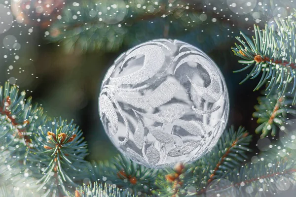 Boule Noël Transparente Ajourée Blanche Sur Des Branches Épinette Dans — Photo