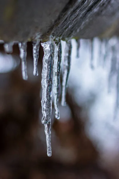 Çatıdan sarkan şeffaf buz saçakları. Kış Doğal Fenomeni