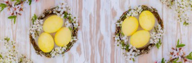 İçinde sarı paskalya yumurtaları olan iki doğal çiçek dalının güzel yuvalarının olduğu pankart, üst manzara