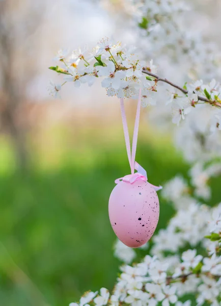 Oeuf Pâques Décoratif Rose Est Accroché Une Branche Fleurie Dans — Photo