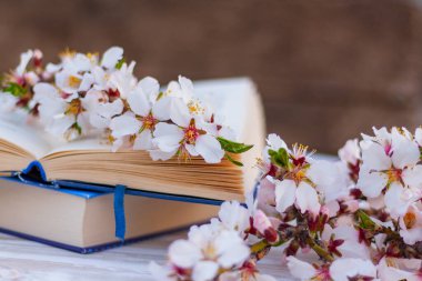 Masanın üzerinde güzel bahar çiçekli badem dalları olan açık bir kitap.