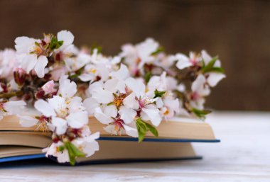 Badem ağacının çiçek açan dalları bahçedeki bir masada açık bir kitabın sayfalarına yakın çekim yapıyor.