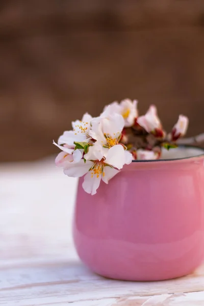 Close Pink Cup Beautiful Spring Blossom Twig Almond Tree Table — ストック写真