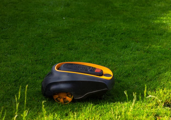 close up robot lawnmower mows grass on a green lawn with copy space. modern garden and care equipment
