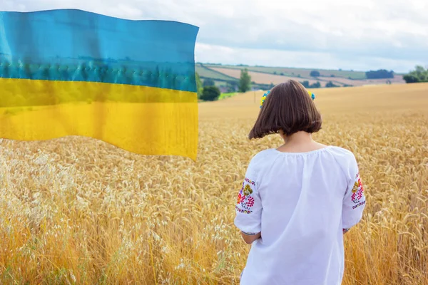 Украинка Вышитой Рубашке Стоит Пшеничном Поле Вид Сзади Национальная Женская — стоковое фото