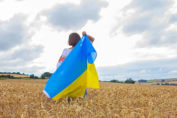Украинка Большим Желто Голубым Флагом Стоит Пшеничном Поле Вид Сзади — стоковое фото