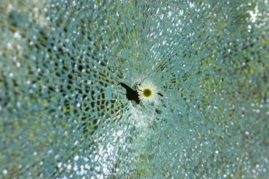 broken glass looks like a spider web with a large crack, in the middle of which is a white daisy flower