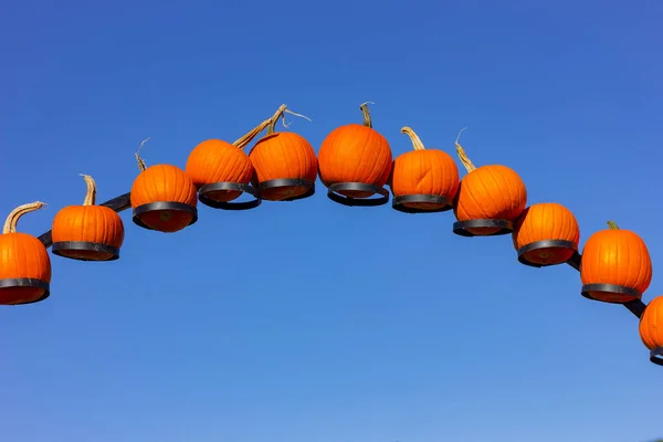 Ein Bogen Orangefarbener Kürbisse Vor Blauem Himmel Raum Kopieren — Stockfoto