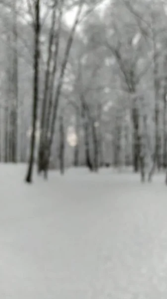 冬季雪地的背景模糊不清 — 图库照片