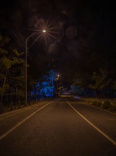 Camino Nocturno Iluminado Por Linternas —  Fotos de Stock