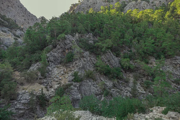 Montanha rochosa rio goynyuk desfiladeiro — Fotografia de Stock