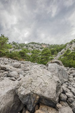 Türkiye 'nin dağlarında kayalar