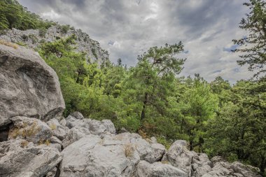 Türkiye 'nin dağlarında kayalar. 