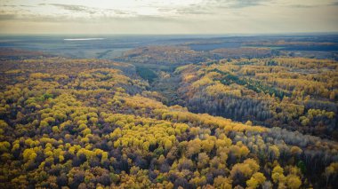 Sursky Krai 'nin sonbahar doğası. 