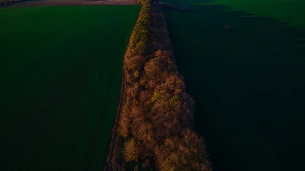 スルスキーの秋の自然 — ストック写真