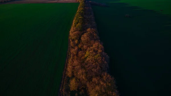 Höst Natur Sursky Krai — Stockfoto