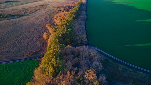 Jesień Natura Sursky Krai — Zdjęcie stockowe