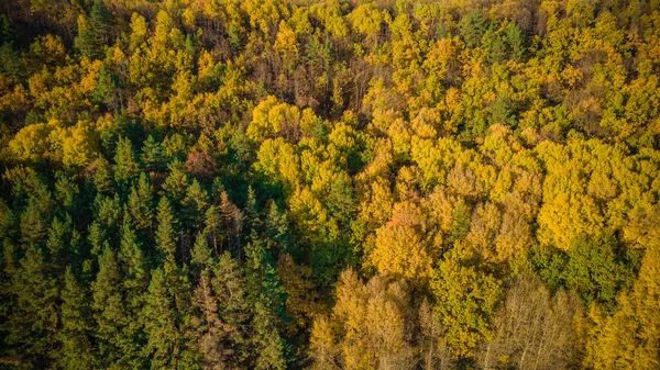 Jesień Natura Sursky Krai — Zdjęcie stockowe