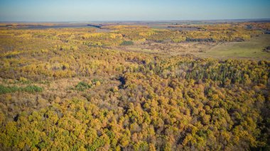 Sursky Krai 'nin sonbahar doğası. 