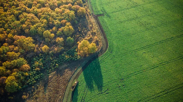 Naturaleza Otoñal Sursky Krai — Foto de Stock