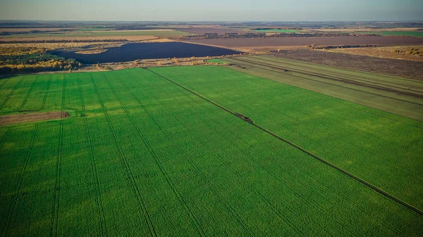 Jesień Natura Sursky Krai — Zdjęcie stockowe