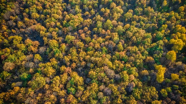 Jesień Natura Sursky Krai — Zdjęcie stockowe