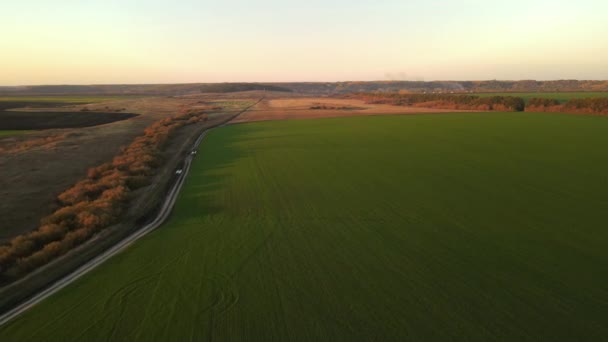 Höst Natur Sursky Krai — Stockvideo