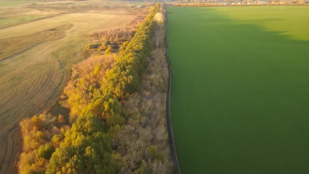 Herfst Natuur Van Sursky Krai — Stockvideo