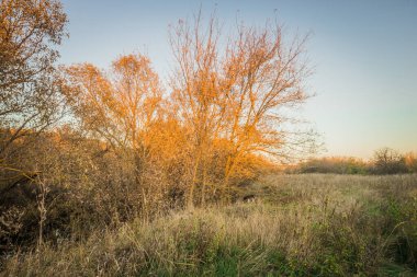Sursky Krai 'nin sonbahar doğası. 