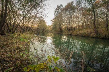 Sursky Krai 'nin sonbahar doğası. 