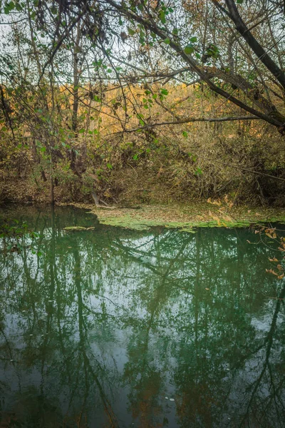 Herbstliche Natur Der Region Sursky Krai — Stockfoto