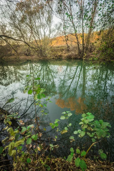 Nature Automne Sursky Krai — Photo