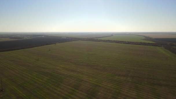 Fotografia Aérea Campos Milho Rússia — Vídeo de Stock