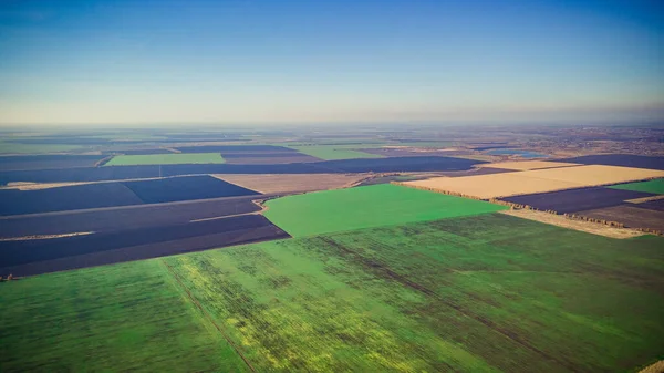 Campos Semeados Verdes Outono Rússia — Fotografia de Stock