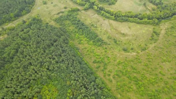 飞越绿色的俄罗斯森林 — 图库视频影像