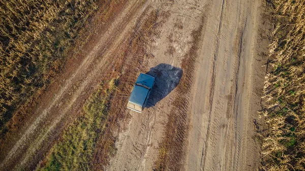 Suv Kör Genom Ett Fält Mogen Majs — Stockfoto