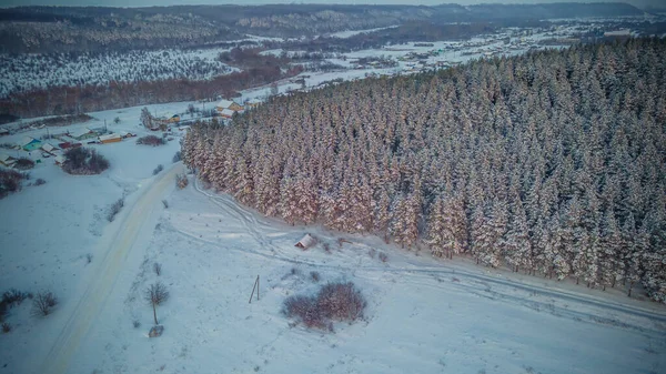 Inverno vida selvagem na Federação Russa — Fotografia de Stock