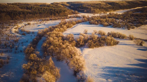 Inverno Vida Selvagem Federação Russa — Fotografia de Stock