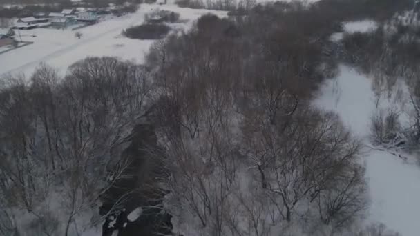 Vinter flod i kallt Ryssland — Stockvideo