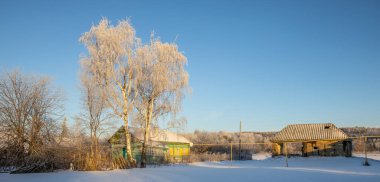 Rus köyünde dondurucu bir sabah. 