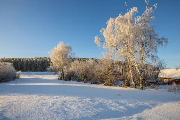 Frostig Morgon Den Ryska Byn — Stockfoto