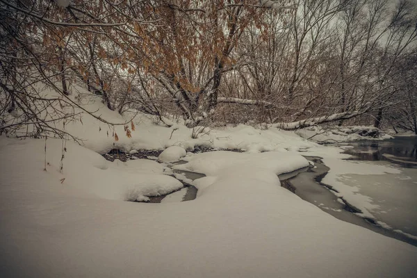 러시아 시골의 겨울 강 풍경 — 스톡 사진