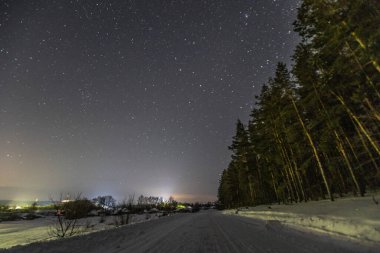 Geceleyin yıldızların altında kış ağaçları