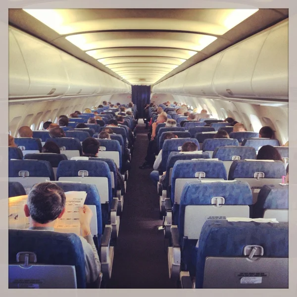 Passengers in the cabin during the flight