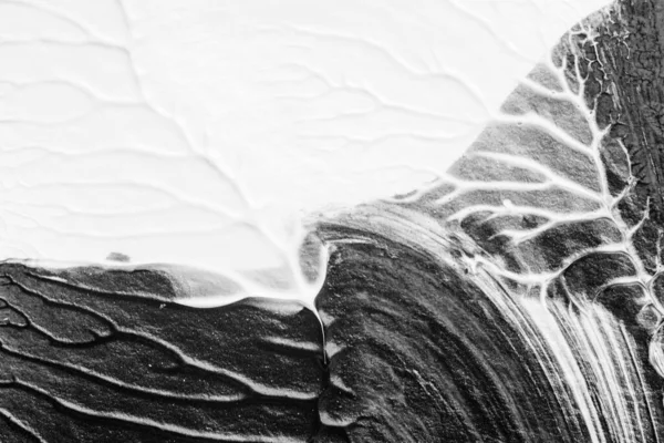 beyaz kağıt arkaplan üzerinde siyah beyaz soyut akrilik boya renk dokusu rorschach mürekkep lekesi yöntemi kullanarak