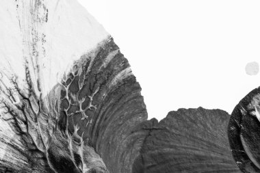 beyaz kağıt arkaplan üzerinde siyah beyaz soyut akrilik boya renk dokusu rorschach mürekkep lekesi yöntemi kullanarak