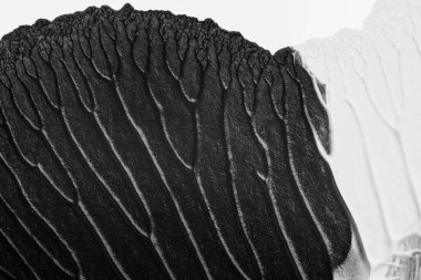 beyaz kağıt arkaplan üzerinde siyah beyaz soyut akrilik boya renk dokusu rorschach mürekkep lekesi yöntemi kullanarak