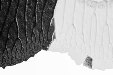 beyaz kağıt arkaplan üzerinde siyah beyaz soyut akrilik boya renk dokusu rorschach mürekkep lekesi yöntemi kullanarak