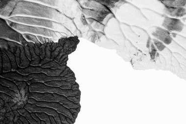 beyaz kağıt arkaplan üzerinde siyah beyaz soyut akrilik boya renk dokusu rorschach mürekkep lekesi yöntemi kullanarak